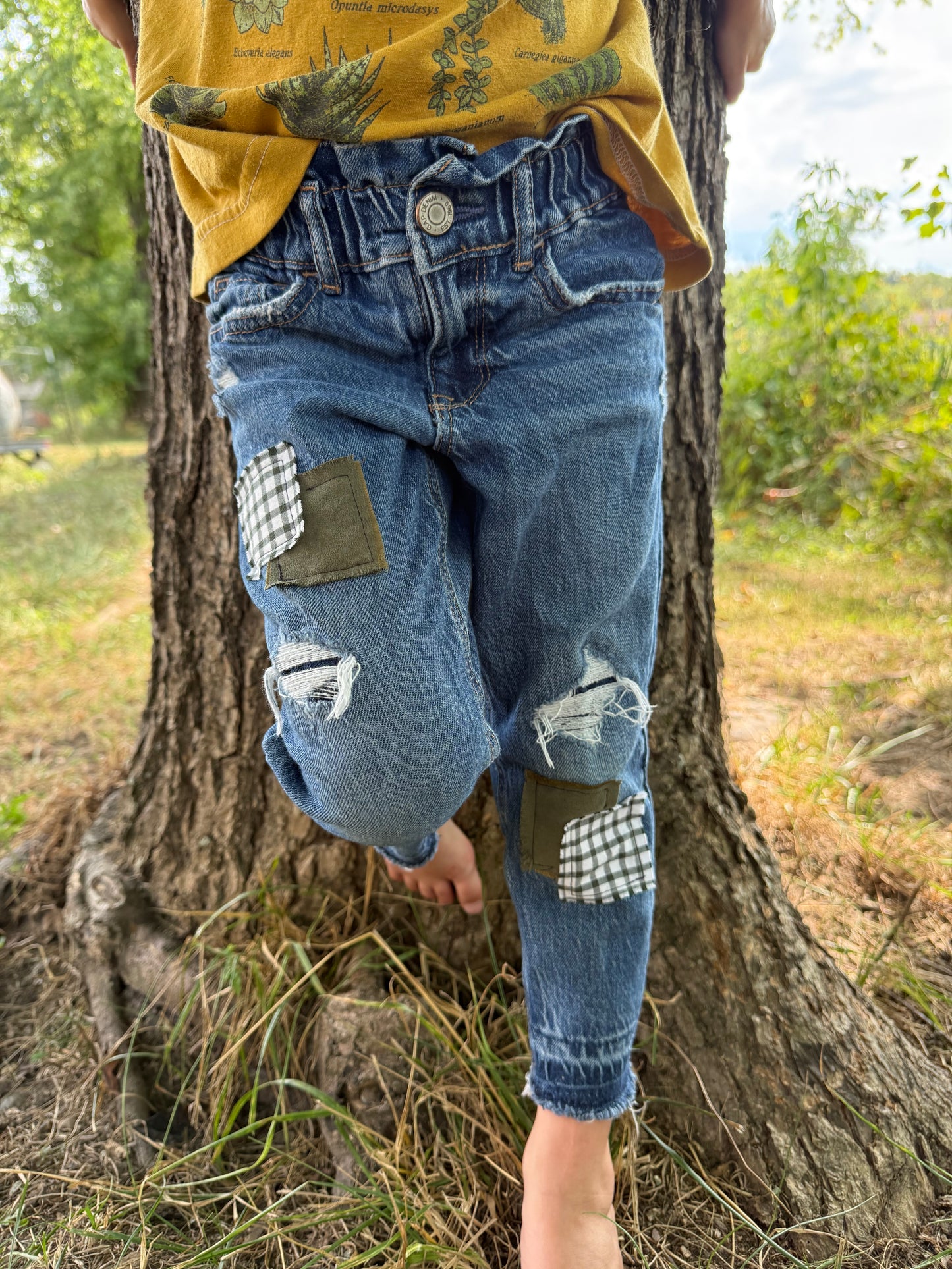 Pine Forest Denim