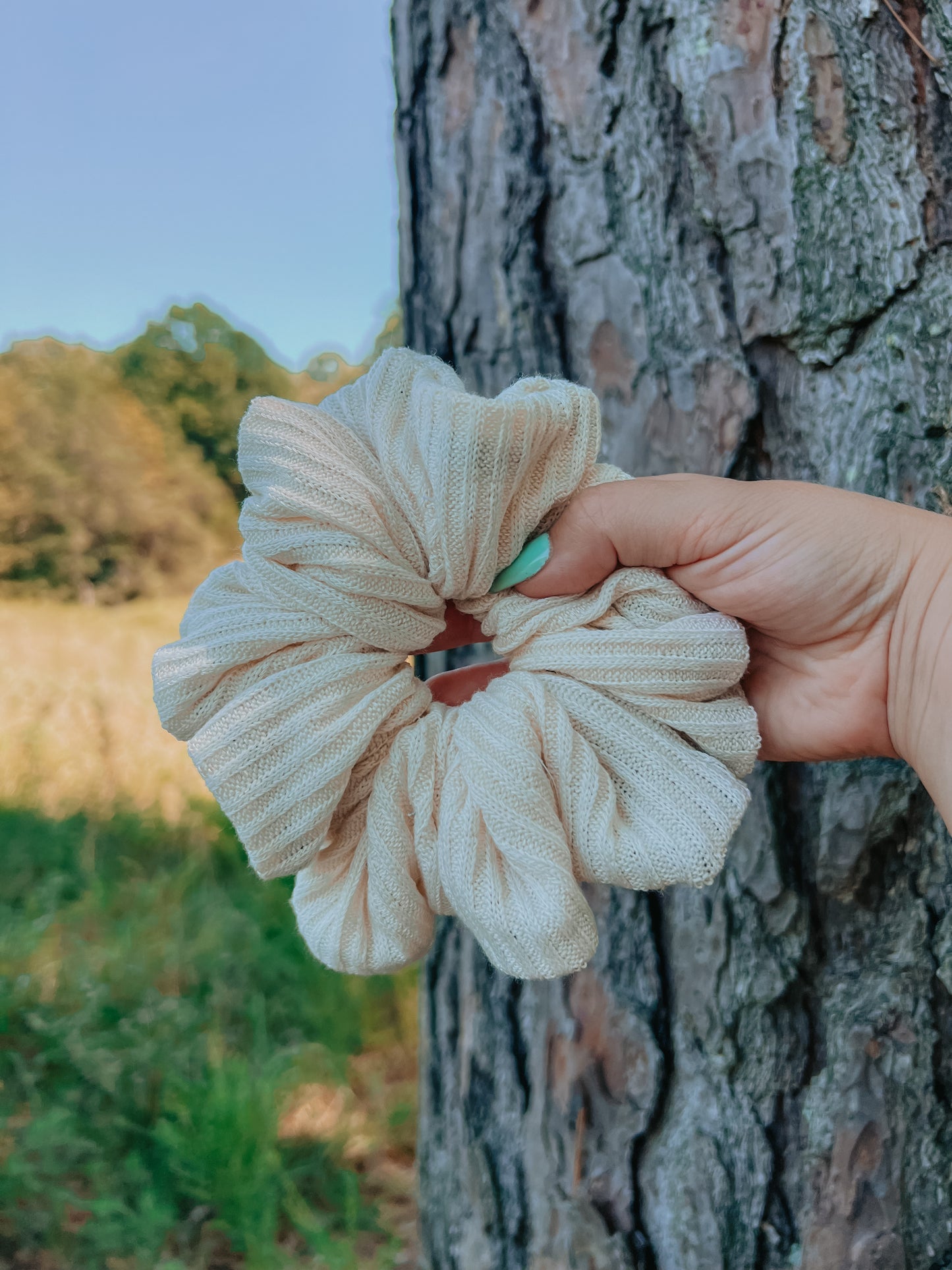 Oatmeal Scrunchie