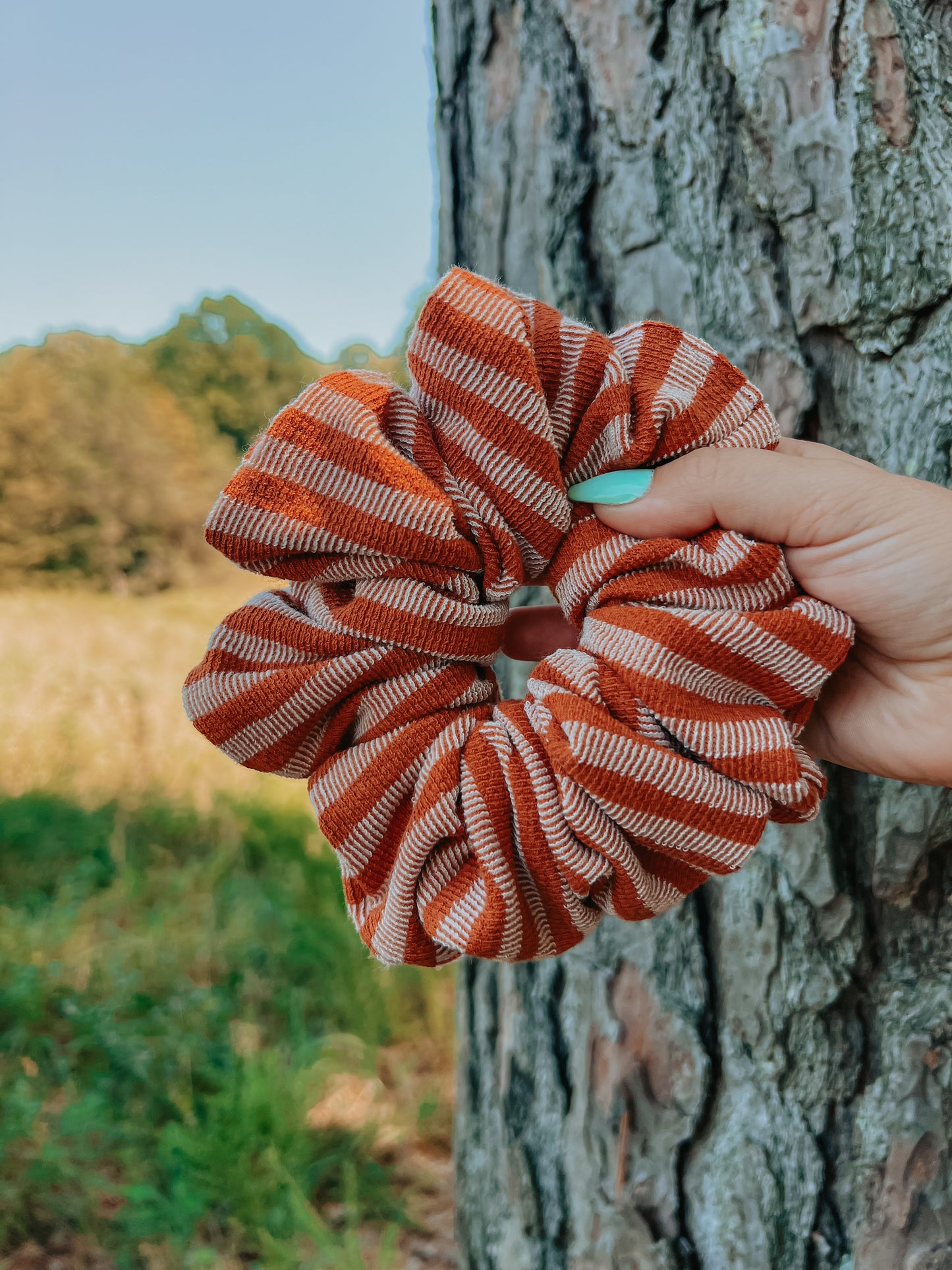 Pumpkin Pie Scrunchie